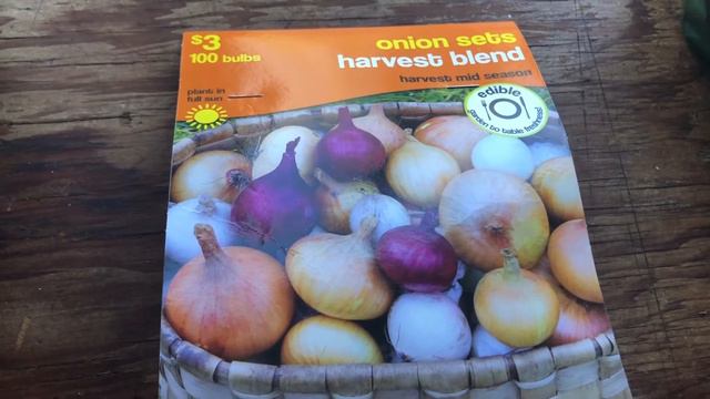 Walmart Garden Center Haul: $3 strawberries, onions, and asparagus смотреть онлайн