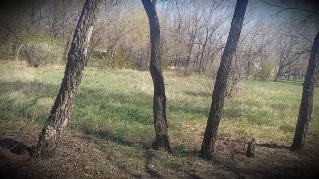 Жена настаивает на покупке жилья для детей от первого брака. Пусть их отец и покупает, я не буду смотреть онлайн