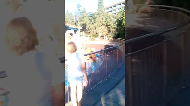 Отличный аттракцион на воде в Ялте! Обзор развлечений. смотреть онлайн