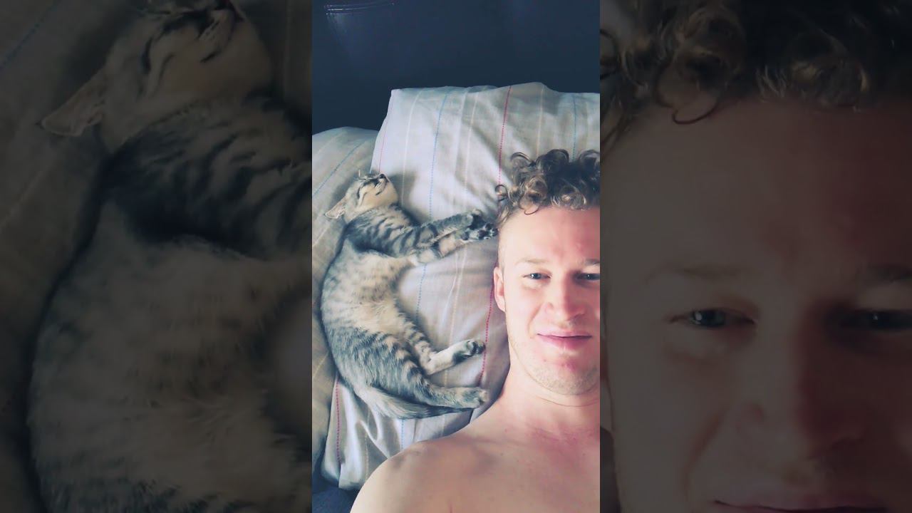 тот случай когда проснулся раньше суетолога #shorts смотреть онлайн