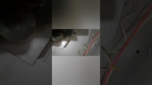 Ремонт духового шкафа MBS