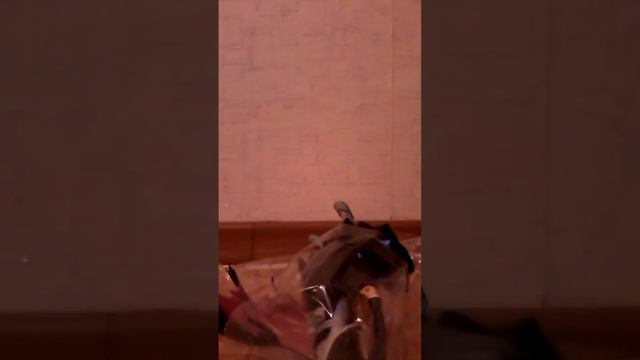 Распаковка фигурки Куросаки Ичиго (Unpacking figures of Kurosaki Ichigo) смотреть онлайн