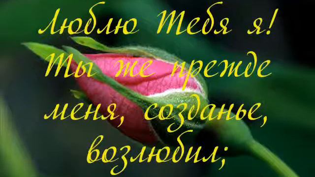 Люблю Спаситель в книге дивной караоке # песня rus смотреть онлайн