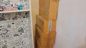 Самоклеящаяся москитная сетка, никаких кнопок ??. Семейный влог.