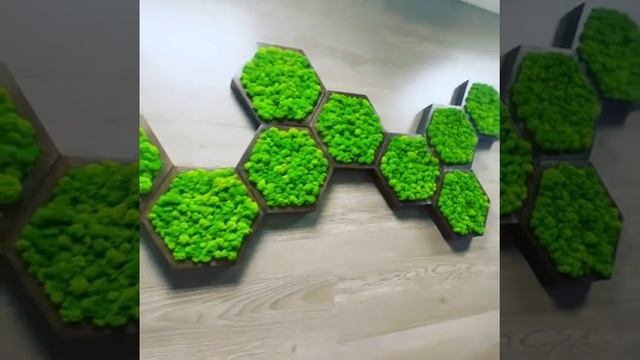 Соты из мха в офисе компании Форест Дорс смотреть онлайн