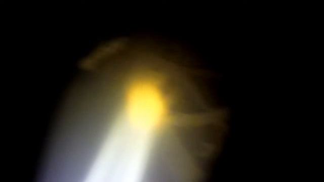 на рефть в ночь карп кои смотреть онлайн