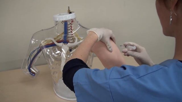 Upper Arm Intramuscular Injection Simulator смотреть онлайн