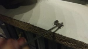 как проверить двигатель на проворачивание вкладышей