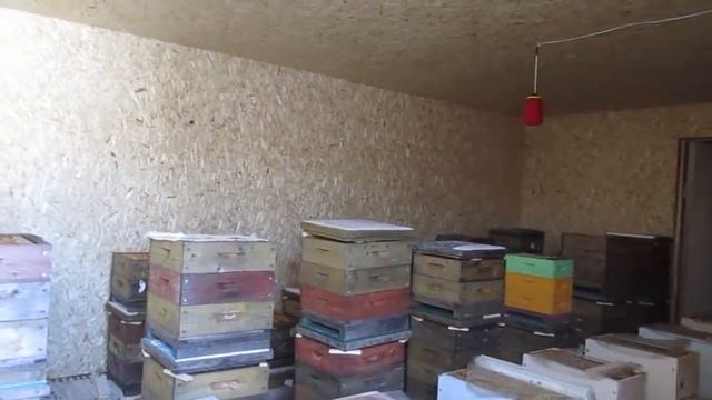 Вывод из опыта прошлого года.