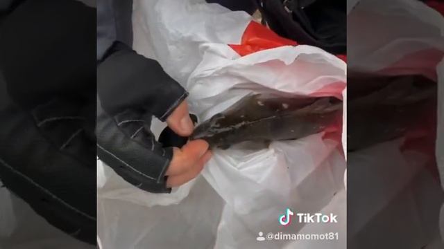 Рабатка смотреть онлайн