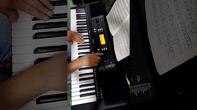 Linda canción besame mucho cover instrumentado con Yamaha PSR E363 смотреть онлайн