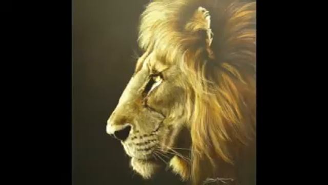 The Secret Scroll Marked III I will persist until I succeed Motivational Lion смотреть онлайн