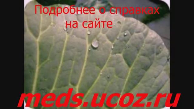 Regbnm медицинская справка для гаи смотреть онлайн