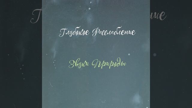 Шум леса смотреть онлайн