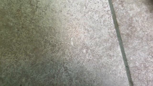 ДОМ ИЗ КУЧИ ДОСОК! 7 ДНЕЙ ДО ПЕРЕЕЗДА смотреть онлайн