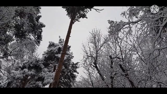 ЧАРОДЕЙКА ЗИМА.ТАКАЯ КРАСОТА БЫВАЕТ НЕ ЧАСТО❄ 14.12.2021г смотреть онлайн