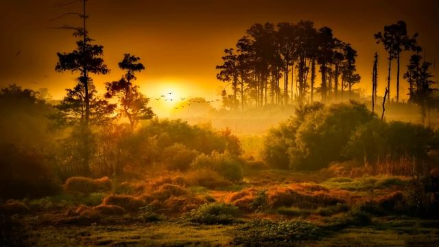 Liquid Drum and Bass Mix #122 смотреть онлайн
