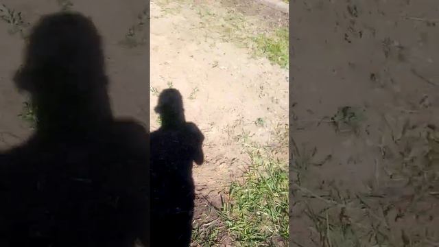Влог 1.Обзор на дачу:от первого лица.Жизнь на даче. смотреть онлайн