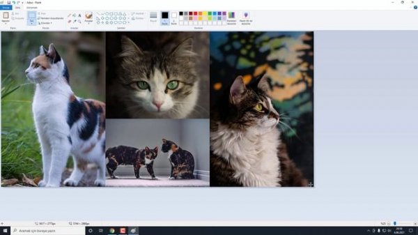 Fotoğraf Birleştirme | Fotoğrafları Yan Yana Koyma | Kolaj Yapımı!