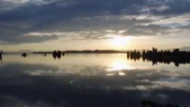 Красная Плесень Мир абстрактных иллюзий... AVI смотреть онлайн