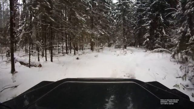 Зимеий лес, Черноголовка 2 смотреть онлайн