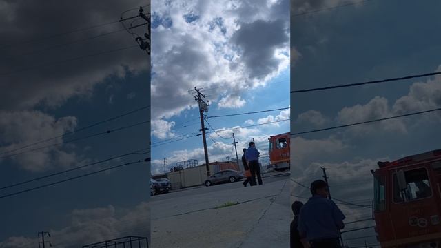 Trailero Necesitaba mi ayuda al ser mordido por un PitBull смотреть онлайн