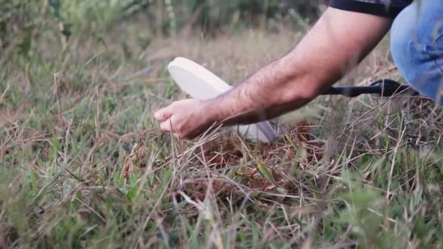 GPX 6000 Aprenda #6: Bobinas | Minelab Brasil смотреть онлайн