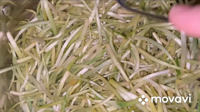 Черемша.Самый простой рецепт приготовления.