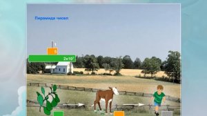 Правило экологической пирамиды. Биология