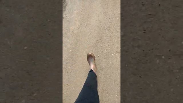 простите туплю. у меня как всегда сел тел в конце смотреть онлайн