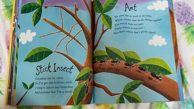 Mad About Minibeasts by Giles Andreas and David Wojtowycz смотреть онлайн