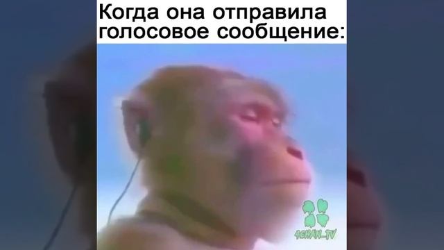 Когда она отправила голосовое сообщение смотреть онлайн