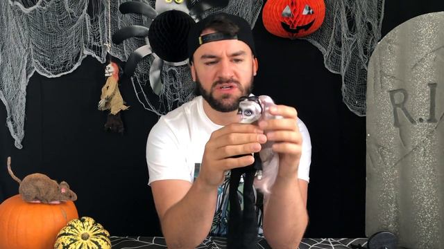 Happy Halloween! Lady Gaga Monster High doll review + special guest! #monsterhigh #DonnaMarieGaga смотреть онлайн