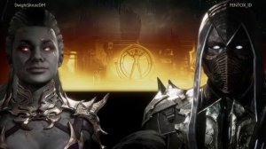 Mortal Kombat 11. Нуб Сайбот 1 стиль