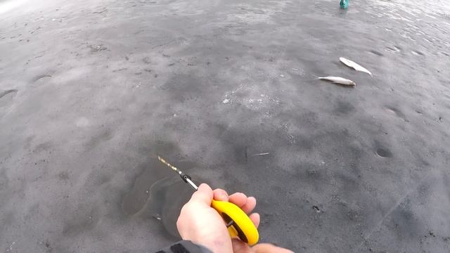 Все думают он ПАСИВЕН а мы ЕГО ЛОВИМ, Судак клюет и не стесняется, Рыбалка на судака смотреть онлайн