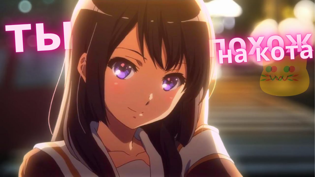 ты похож на кота - zhanulka |「AMV」| Anime Mix смотреть онлайн
