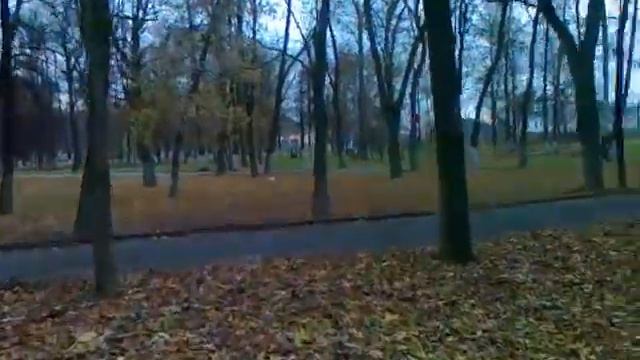 Вороньи догонялки, или вредная ворона смотреть онлайн