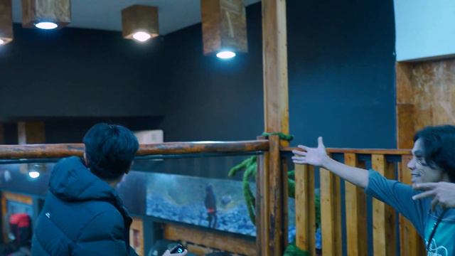 Review Toko ZLatan Adventure Cinere смотреть онлайн