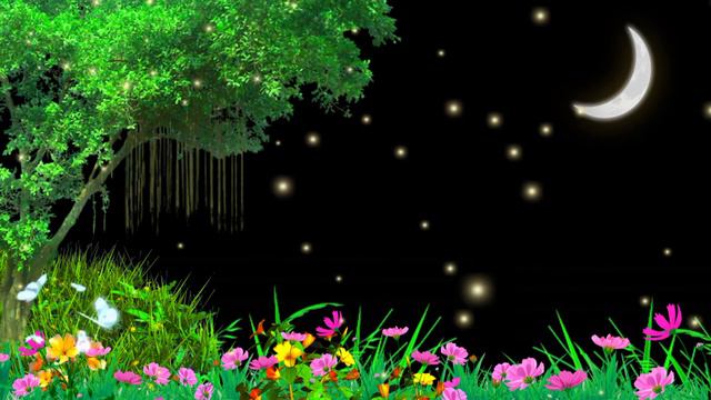 Grass flowers black screen video | white butterfly black screen | beautiful night background video смотреть онлайн