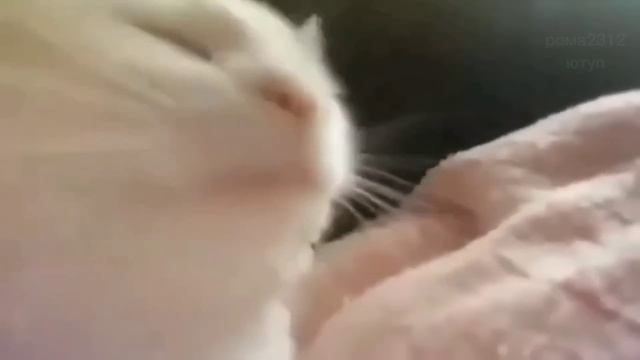 это видео для людей 64+. смотреть онлайн