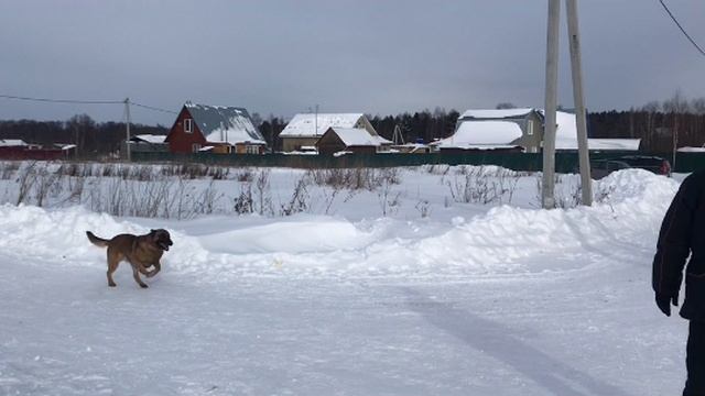 АКИРА, смена позиции