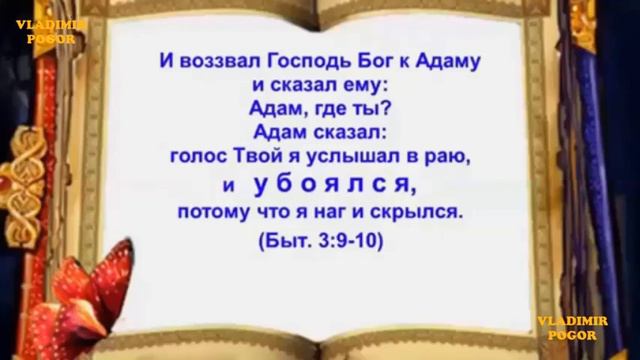 Что означает древо познания. Vladimir Pogor. смотреть онлайн