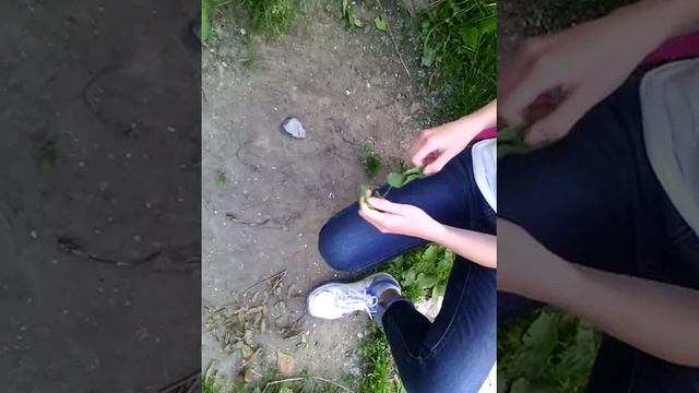 Как вызвать нашего лучшего друга Слнедыра (Слендер) смотреть онлайн