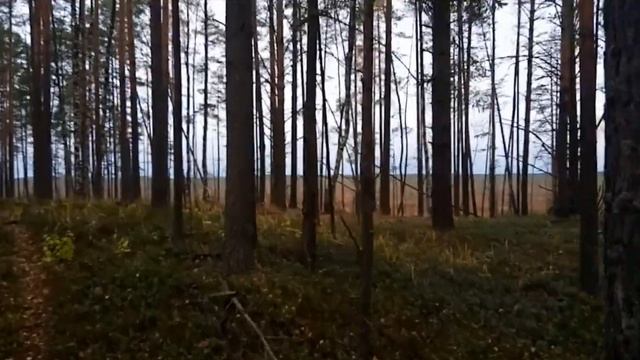 У соседей Переход по остравам, через пустошь к Святому озеру смотреть онлайн