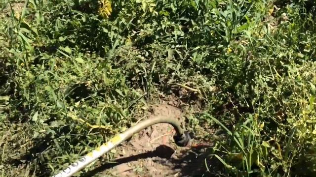 Мега способ прополки картошки смотреть онлайн
