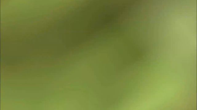 [FR] Breen et soldat qui dance le Harlem Skhake Gmod смотреть онлайн