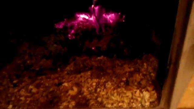 Топливные брикеты 6 часов горения.AVI смотреть онлайн