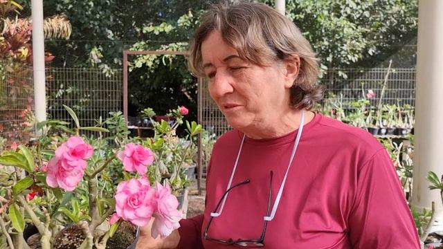 Pathumma, Adenium Obesum, Apolonia Grade смотреть онлайн
