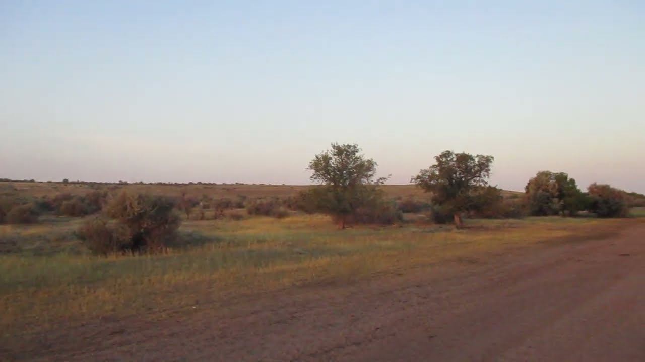 Опустевшее село Тарлыковское (Tarlyksfeld), Энгельсский район