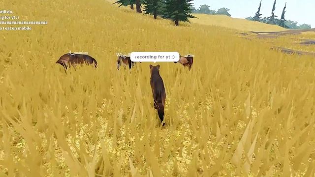 Dire Wolf Pack Hunting Cenozoic Survival Roblox смотреть онлайн